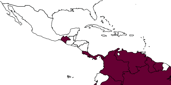 map of Enicospilus randalli     Gauld, 1988